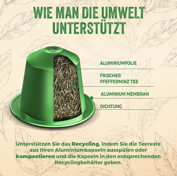 Capsules de thé MENTHE POIVRÉE BIO