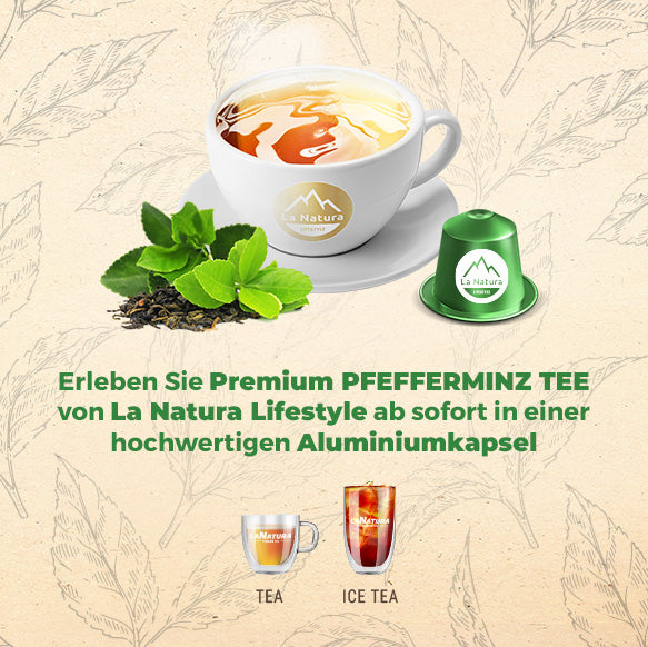 Capsules de thé MENTHE POIVRÉE BIO