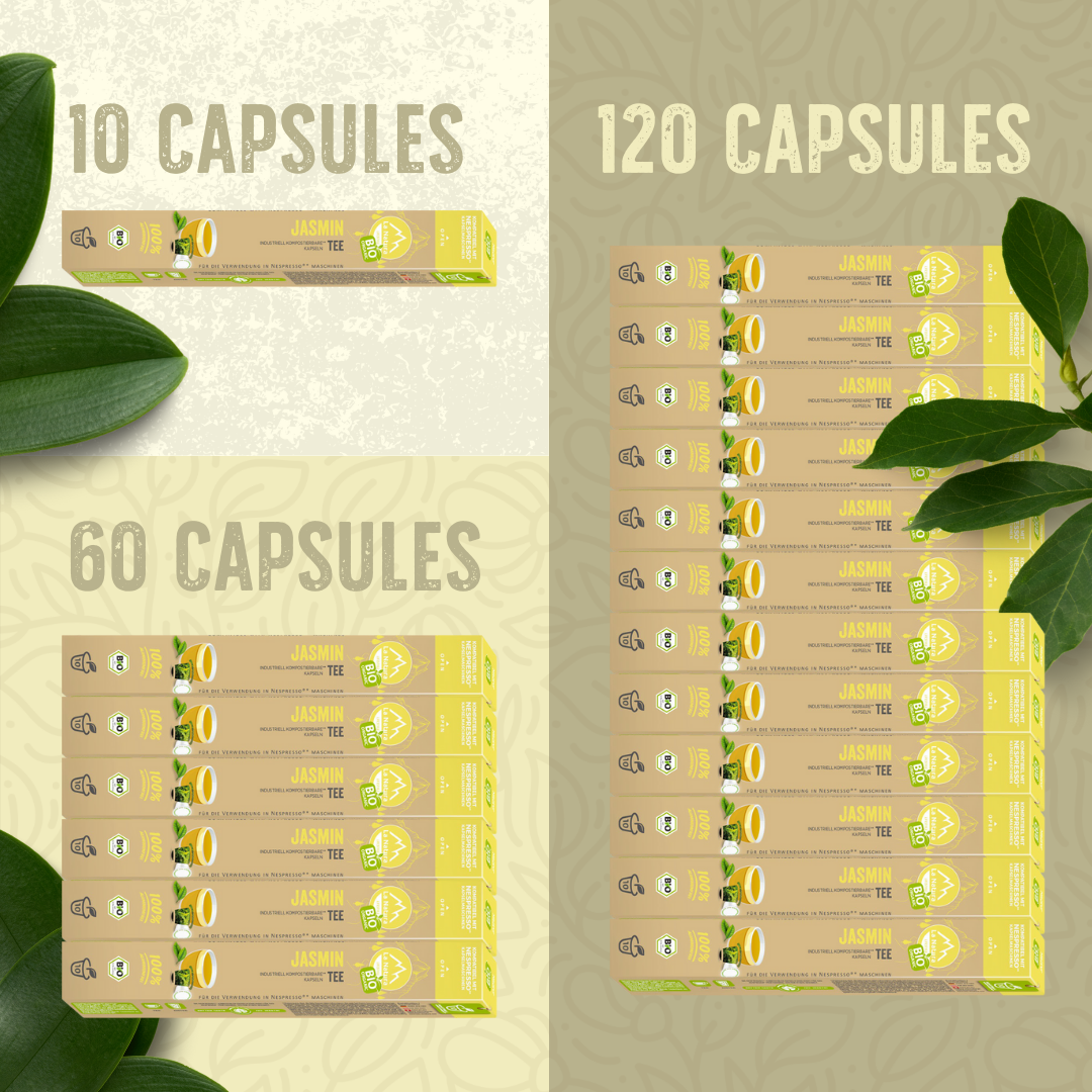 Capsules de thé JASMIN BIO