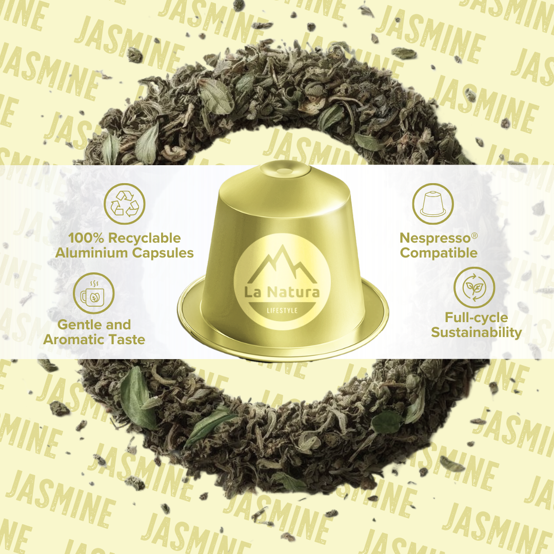 Capsules de thé JASMIN BIO